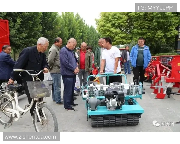 尉氏县业余足球比赛直播精彩瞬间回顾与赛程安排详解