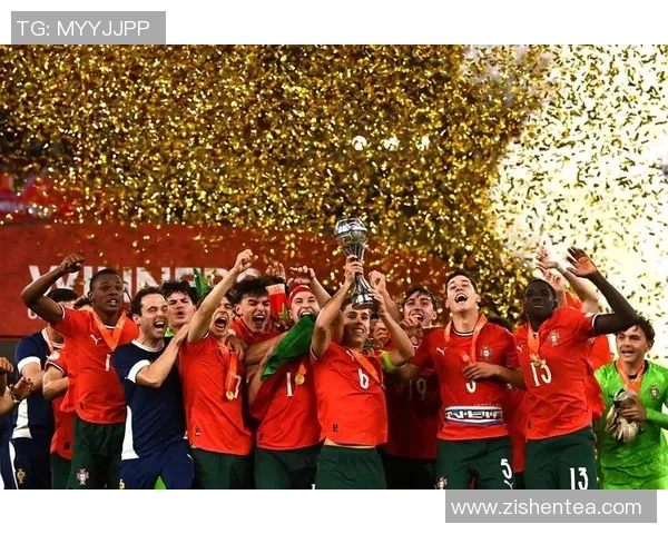 欧洲杯精彩对决荷兰与丹麦的足球盛宴即将上演