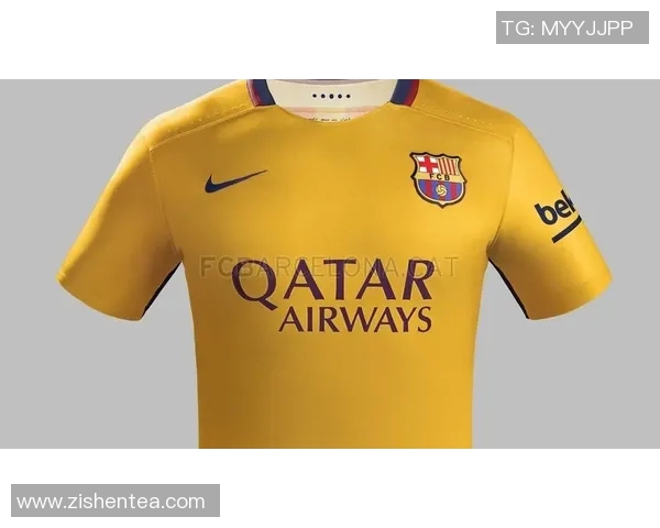 意大利队服的历史演变与设计理念探讨