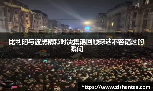 比利时与波黑精彩对决集锦回顾球迷不容错过的瞬间