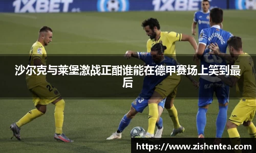 沙尔克与莱堡激战正酣谁能在德甲赛场上笑到最后